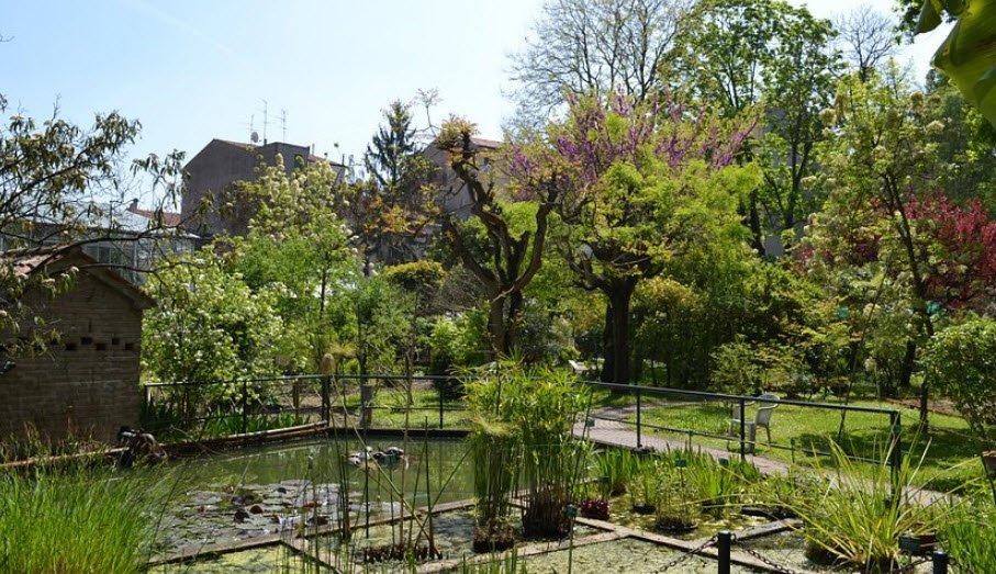 Botanical Garden of the University of Ferrara, Ferrara, Italy, Italy